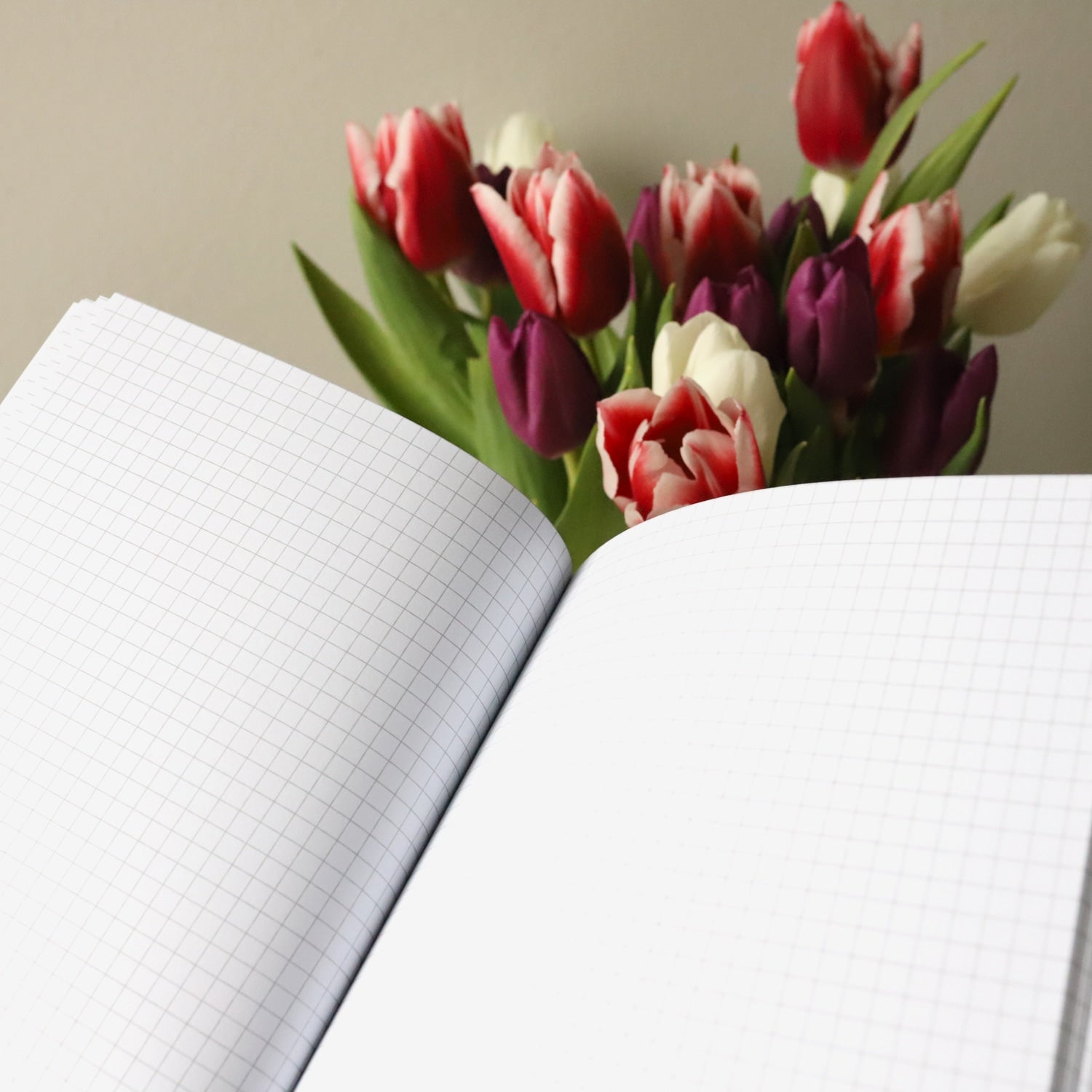 Notizheft A5 „Amore", kariert